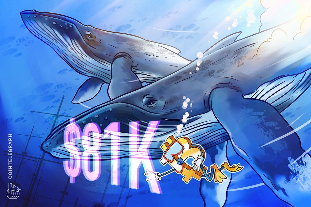 Bitcoin Whale Accumulation Trend Trend Mirror 2020 The BTC price of BTC pops out from $ 81K and optimistic activities
