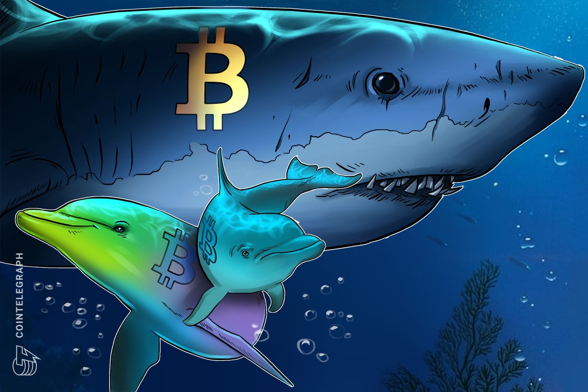 https://images.cointelegraph.com/cdn-cgi/image/format=auto,onerror=redirect,quality=90,width=1200/https:/s3.cointelegraph.com/uploads/2025-12/019b2586-1eb2-7806-a93b-9ee1ce5e9325.jpg