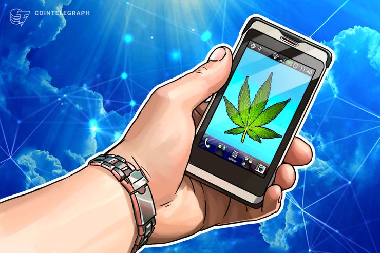 Empresas brasileiras que trabalham com maconha e blockchain podem ganhar incentivo de aceleradora