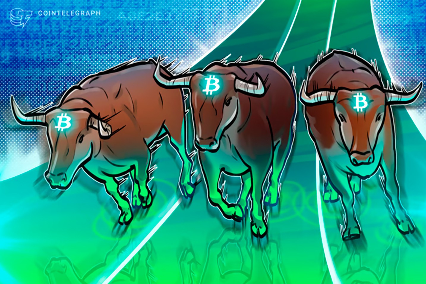 Trader dá dicas de como identificar a próxima valorização de altcoins