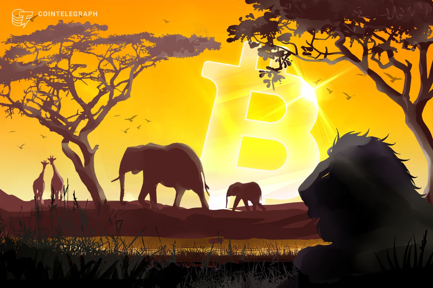 Bitcoin, record di volumi in Africa: superate le cifre di fine 2017