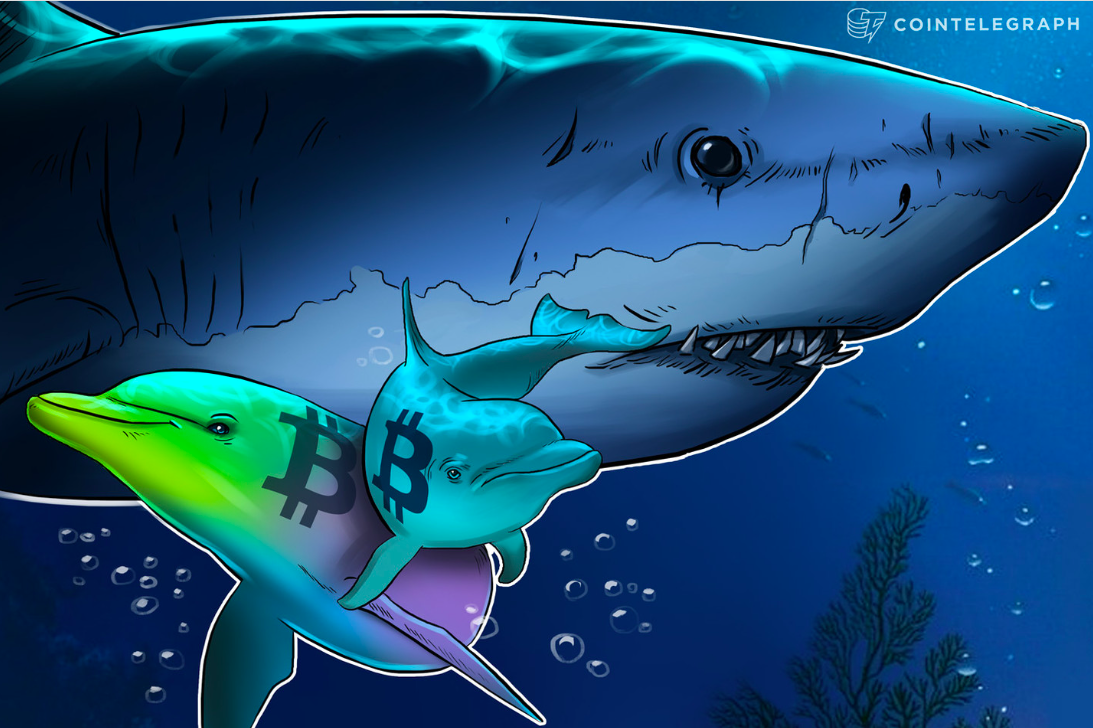 Cotação do Bitcoin hoje 23/09/2022: Baleias do BTC podem fazer do FDS seu parque de diversões e ditar valor no curto prazo