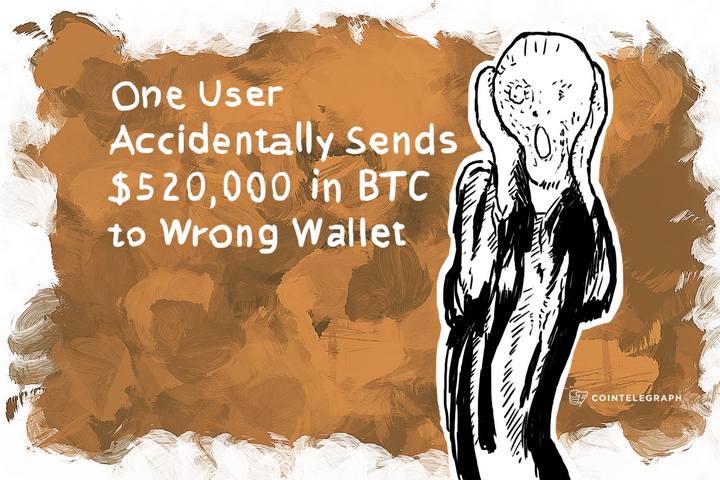 One User Accidentally Sends $520,000 in BTC to Wrong Wallet 