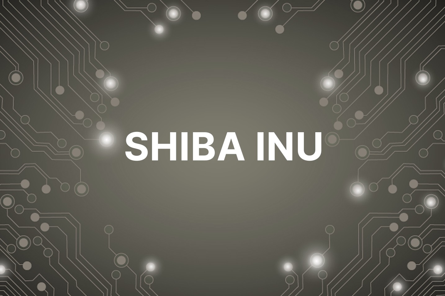What’s next for Shiba Inu as price continues to slide? Two alternative meme coins to watch