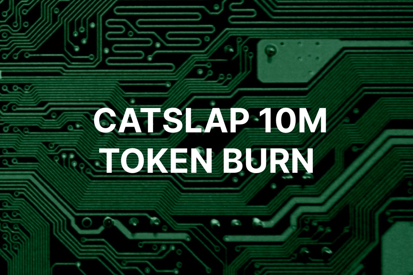 New meme coin Catslap announces 10 million token burn after 1,800% pump