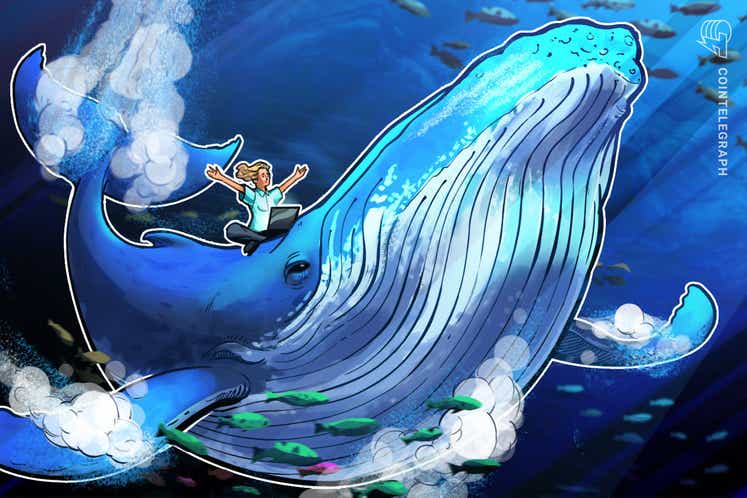 Baleia de US$ 2,8 bilhões é rastreada fazendo compra massiva de popular memecoin
