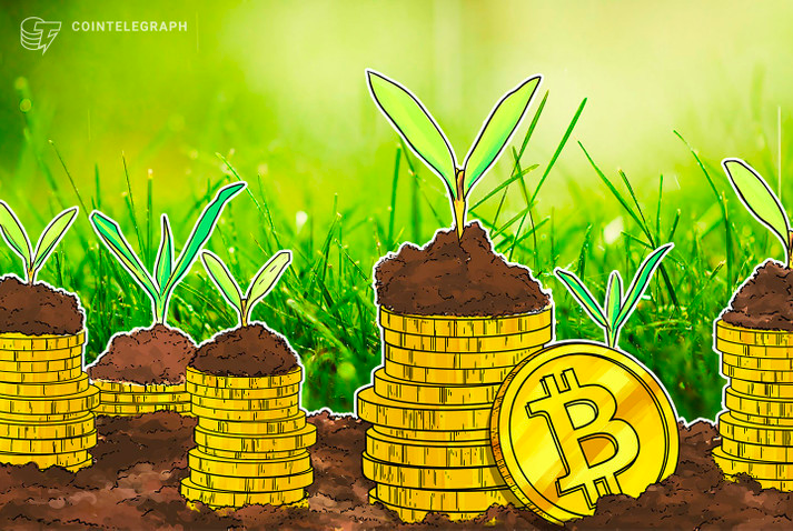Bitso fecha parceria e vai comprar milhares de tokens MCO2 para compensar carbono das negociações de Bitcoin e tokens ERC-20