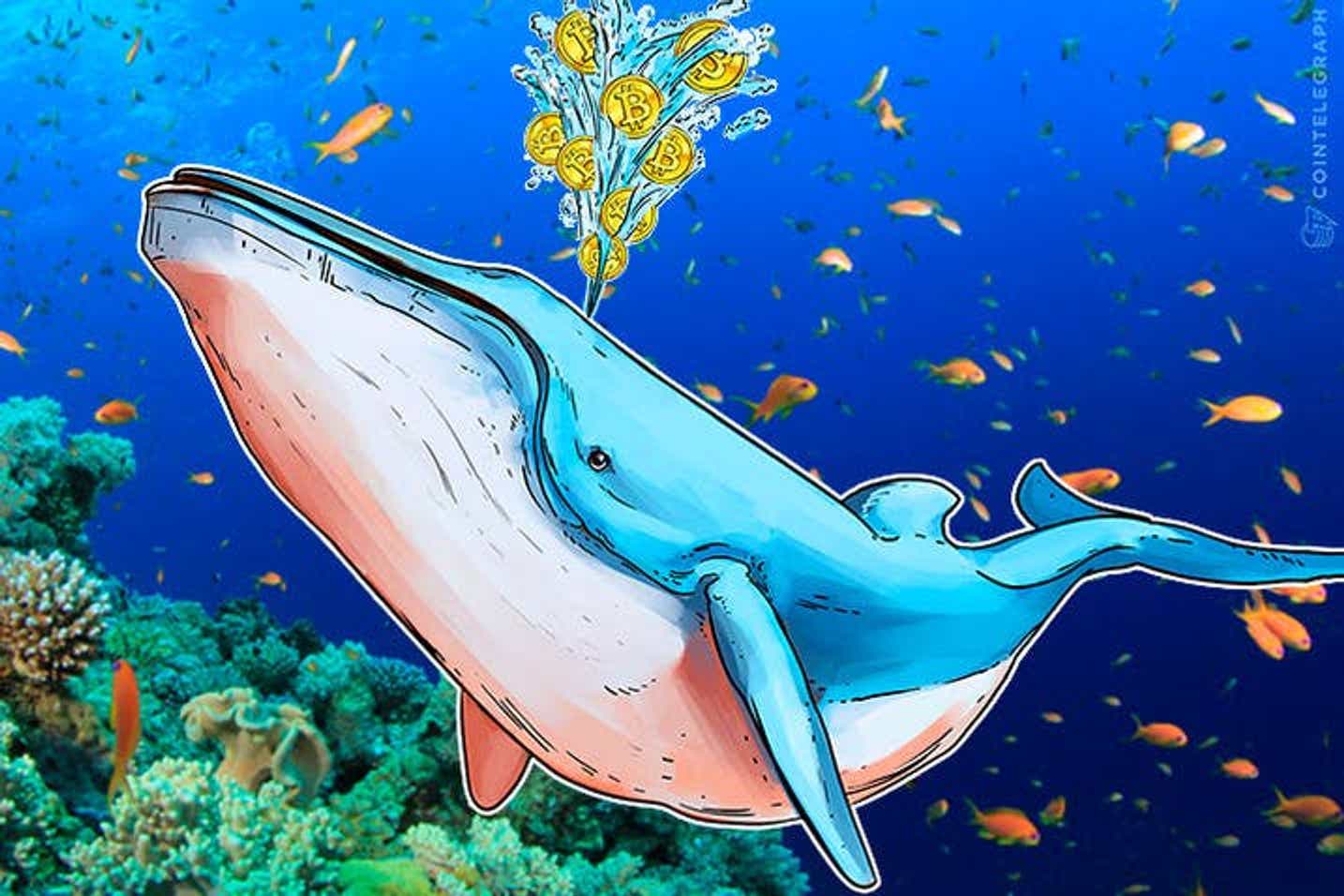 Baleia ignora lateralização do mercado e movimenta US$ 1,99 bilhão em Bitcoin