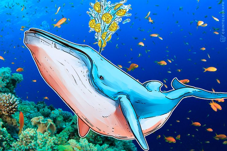 仮想通貨の「クジラ」追跡アプリのスパイキング、ICOで34億円調達