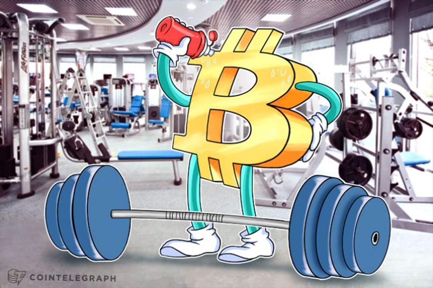 仮想通貨ビットコイン、8000ドル割れも「健全な強気相場のため必要な調整」｜グーグル検索は過去1年で最高水準へ
