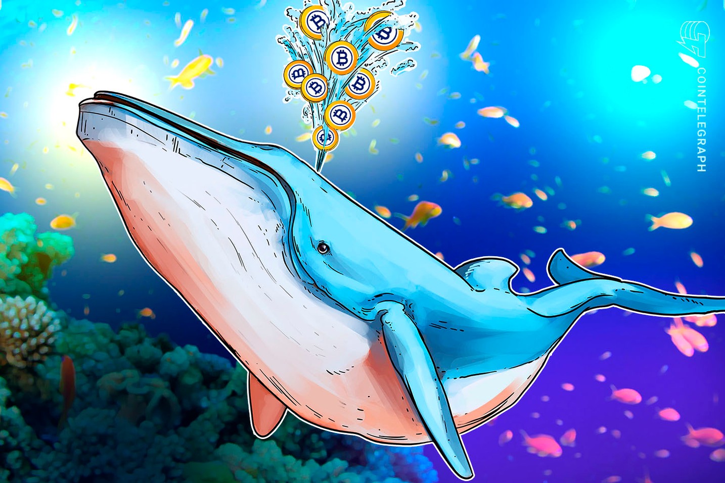 Una whale controlla quasi metà dell'intera offerta monetaria di Bitcoin Gold?