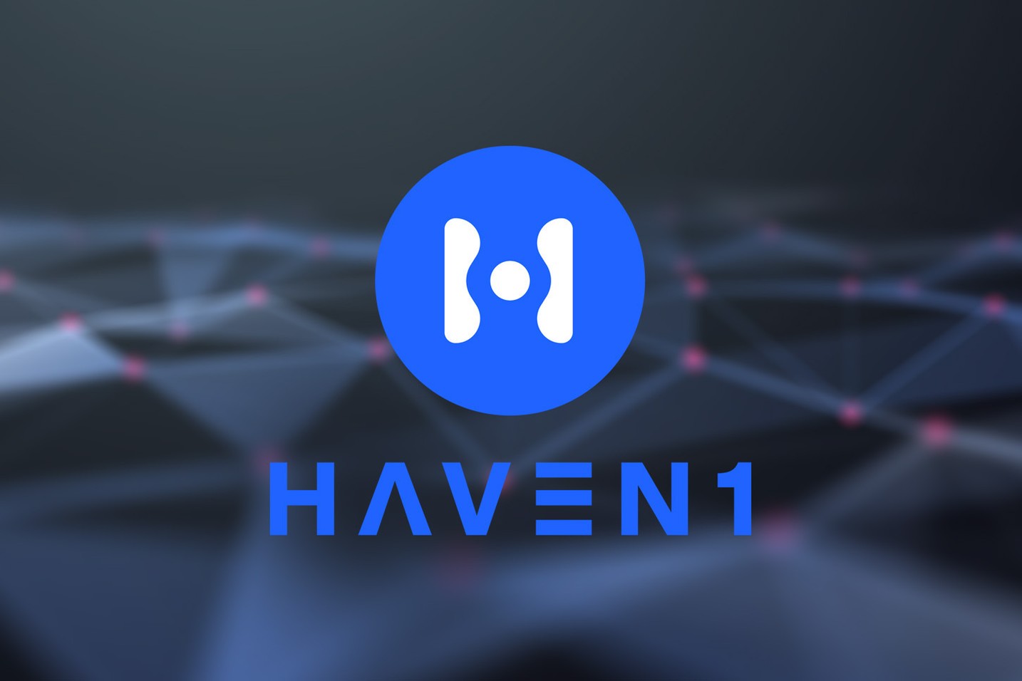 Haven1 and DLTPAY announce partnership to build a more robust digital payment ecosystem