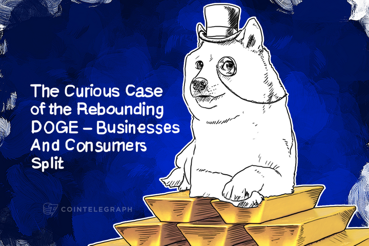 The Curious Case of the Rebounding DOGE – Businesses And Consumers Split