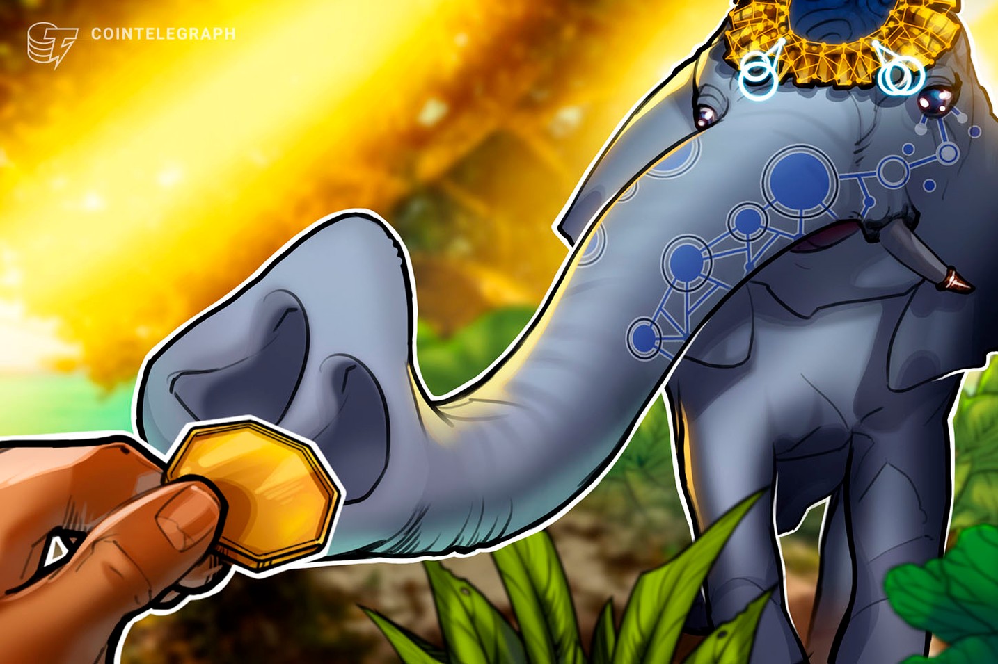 Organização do Comércio da Índia fala sobre proposta de proibição das criptomoedas