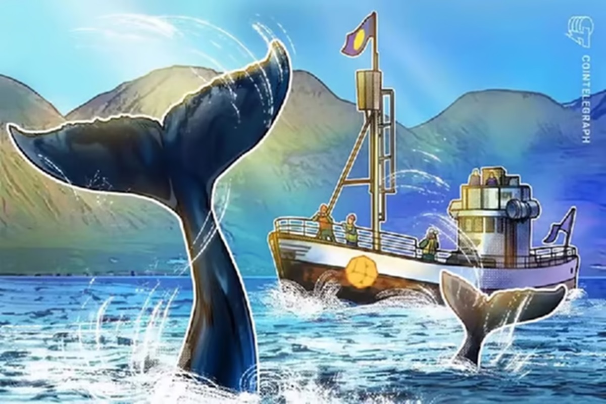 10 criptomoedas de alta capitalização mais assediadas pelas baleias para ficar de olho 