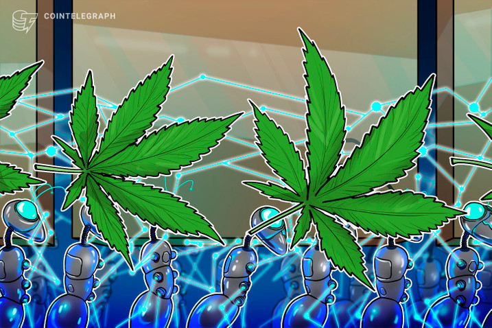 Hub de inovação brasileiro para maconha medicinal fecha parceria com multinacional alemã