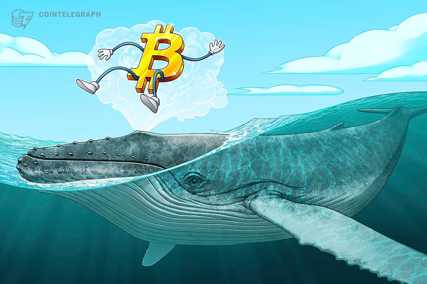 Analysts Laugh Off Recent 'One-Whale Theory' of BTC's 2017 Bull Run