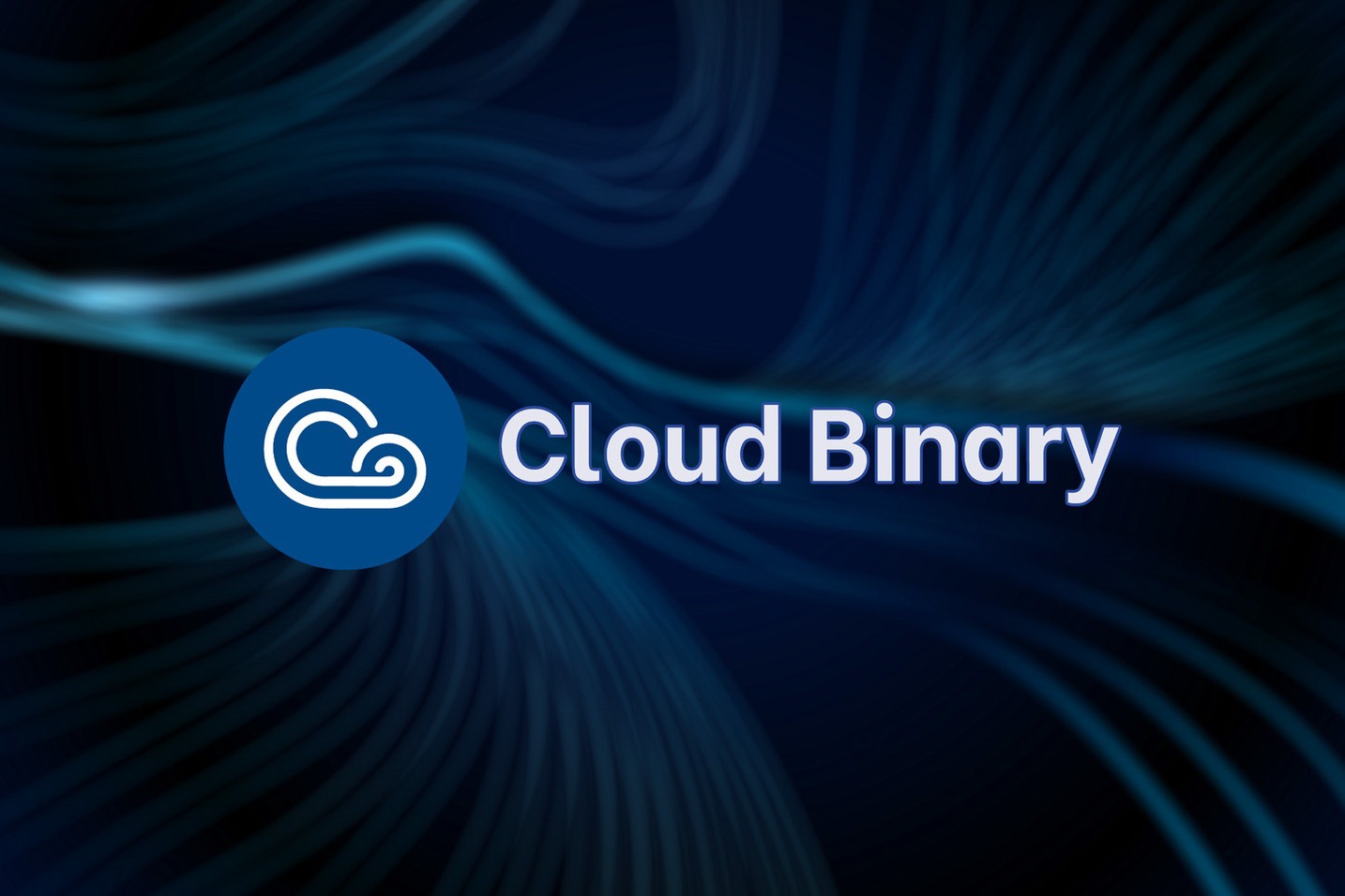 Cloud Binary Server - Accessible, secure, and anonymous cloud solutions for decentralized and AI ML apps