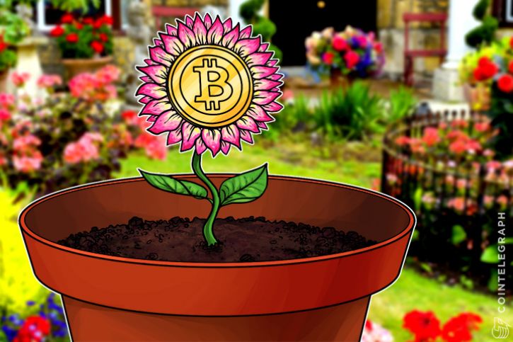 Bitcoin Tulip Mania Continues as BBC Journalist Calls Time on Bubble