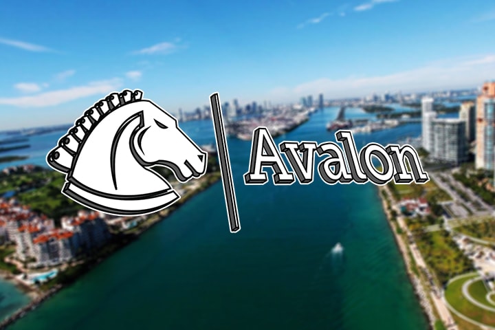 Startup Avalon "Draws Sword" To Slay Consumers’ Biggest Dragon - Savings | ICO Goes Viral