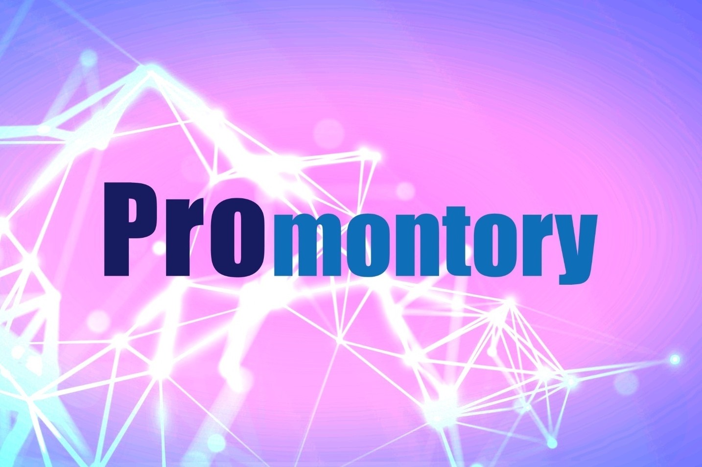 Promontory Technologies goes live for external/LP investors