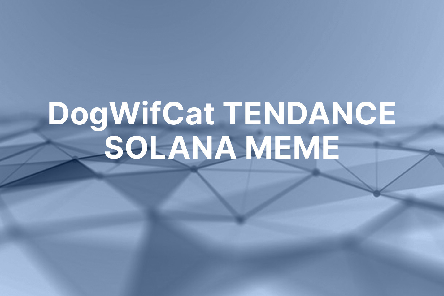 Le nouveau meme coin Solana DogWifCat explose après son listing sur Raydium