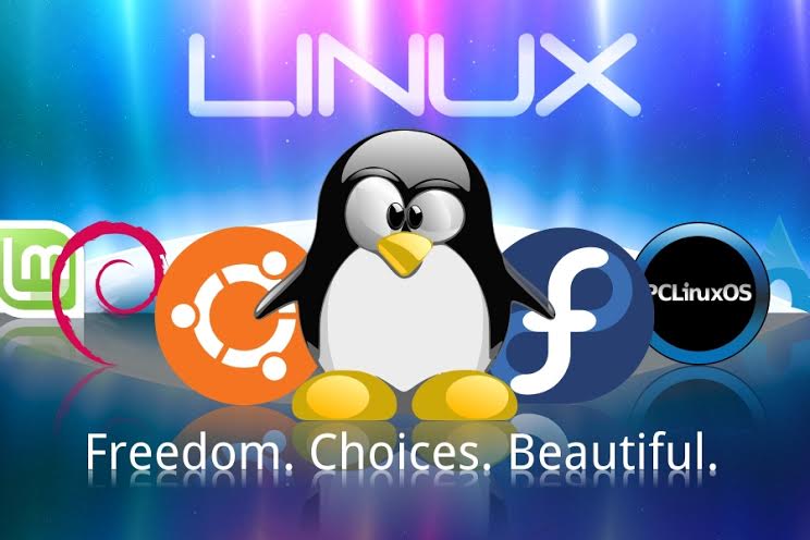 Bitcoin Clients in Jeopardy after the Discovery of a Linux Bug