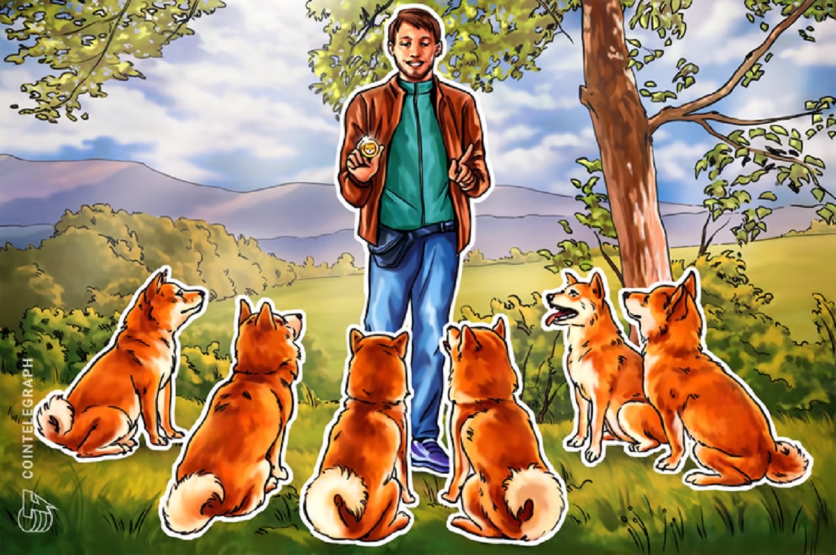 Blockchain do SHIB poderá ser lançada no início de 2023, sugere desenvolvedor do projeto