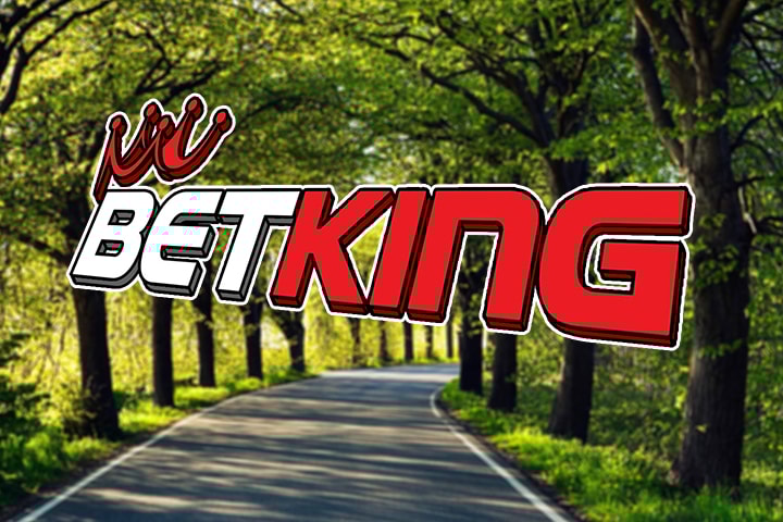 BetKing ICO Raises Over $1,200,000 In Pre-sale