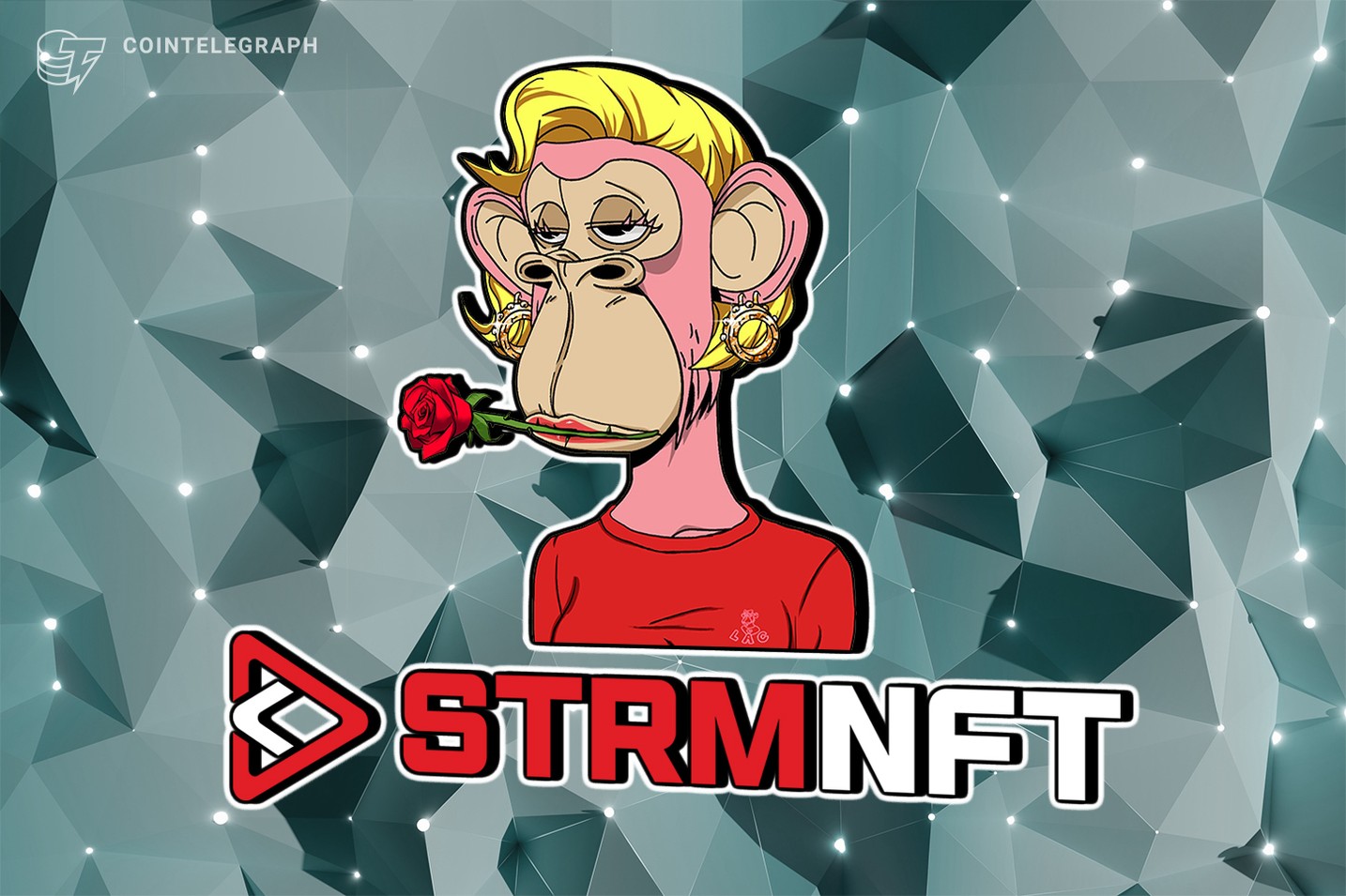 StreamCoin’s StrmNFT marketplace reaches 5,000-users registration milestone