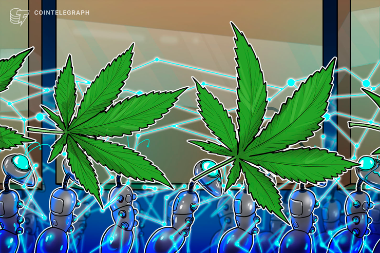 Ouro, BTC ou Maconha? Especialistas debatem estratégias para investimentos 'alternativos'