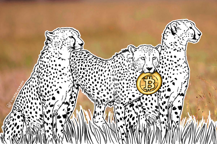 ‘Cheetahs’: Africa’s Young Minds Embrace Bitcoin (Op-Ed)