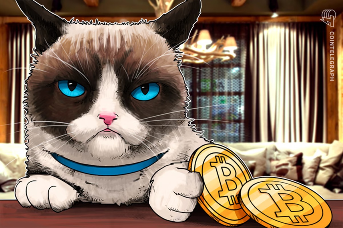Polícia descobre filial de mineradora de Bitcoin clandestina no RS e 'gato' sobe para R$ 2 milhões com 600 ASICs