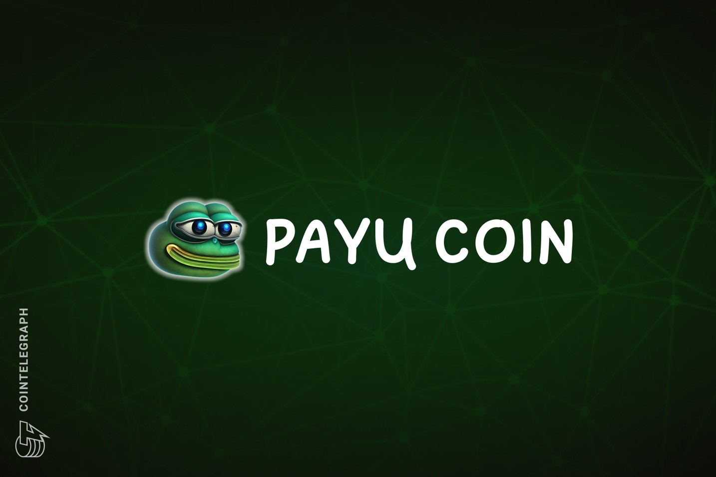 Payu Coin project: Revolutionizing rewards, transfers and daily life usage