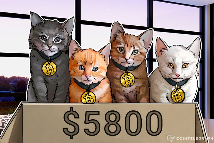 $6k Bitcoin Price Almost Comes True as Forks Flounder, Investors Hold