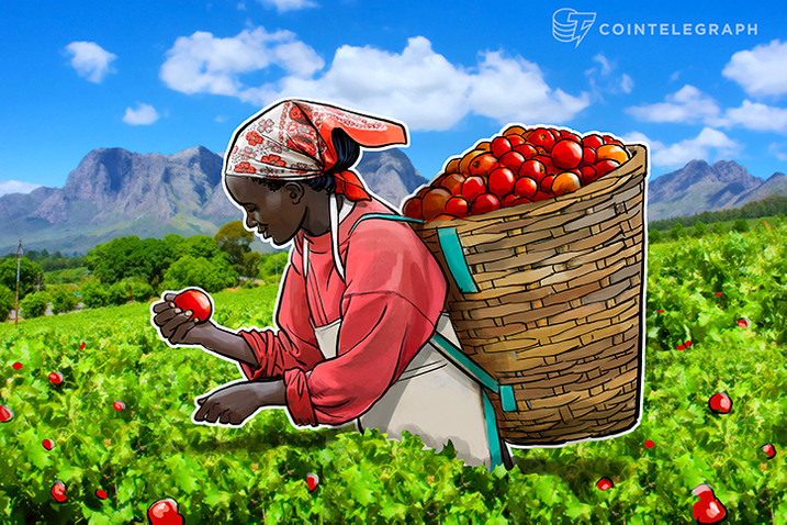 El uso de la Blockchain para el sector agrícola. Caso Latinoamérica