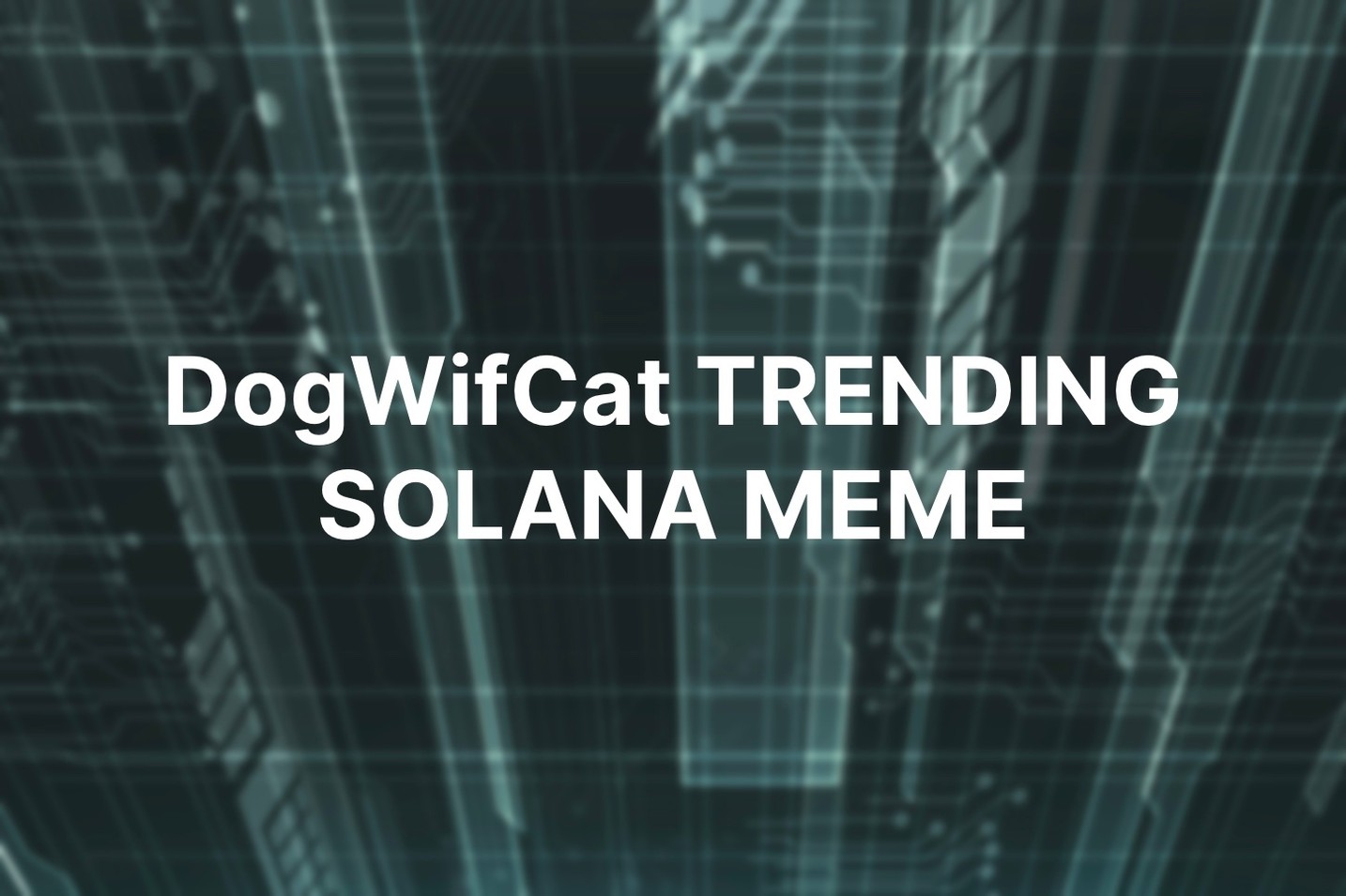 New Solana meme coin DogWifCat  explodes after Raydium listing