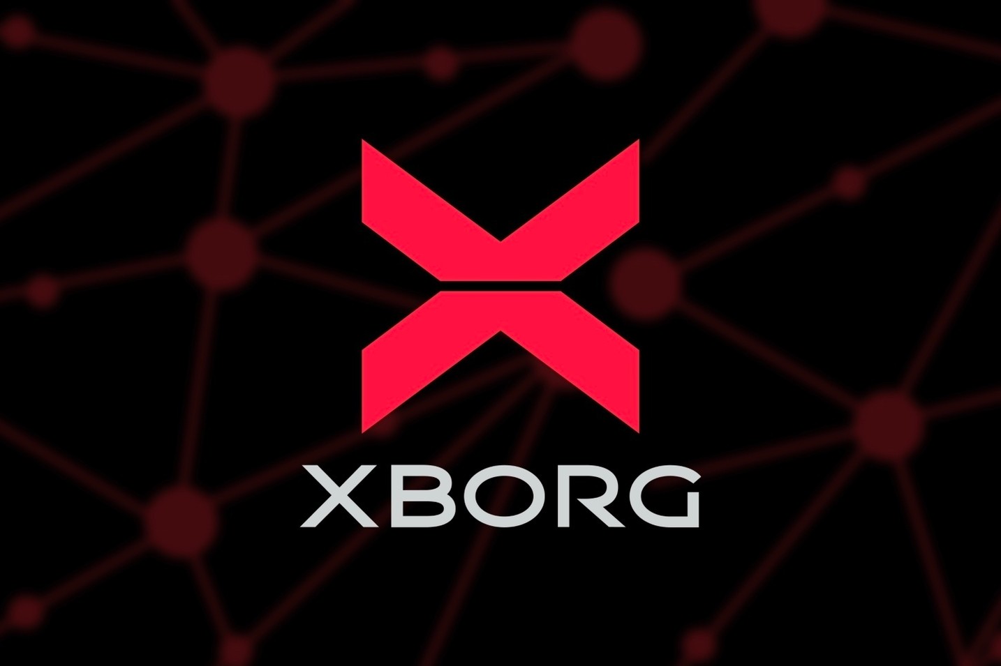 XBorg secures $9M to bring player identity to the masses
