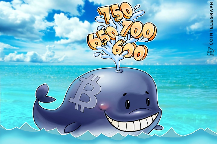Bitcoin Price Reaches New 2016 High; Highest Value Since 2014