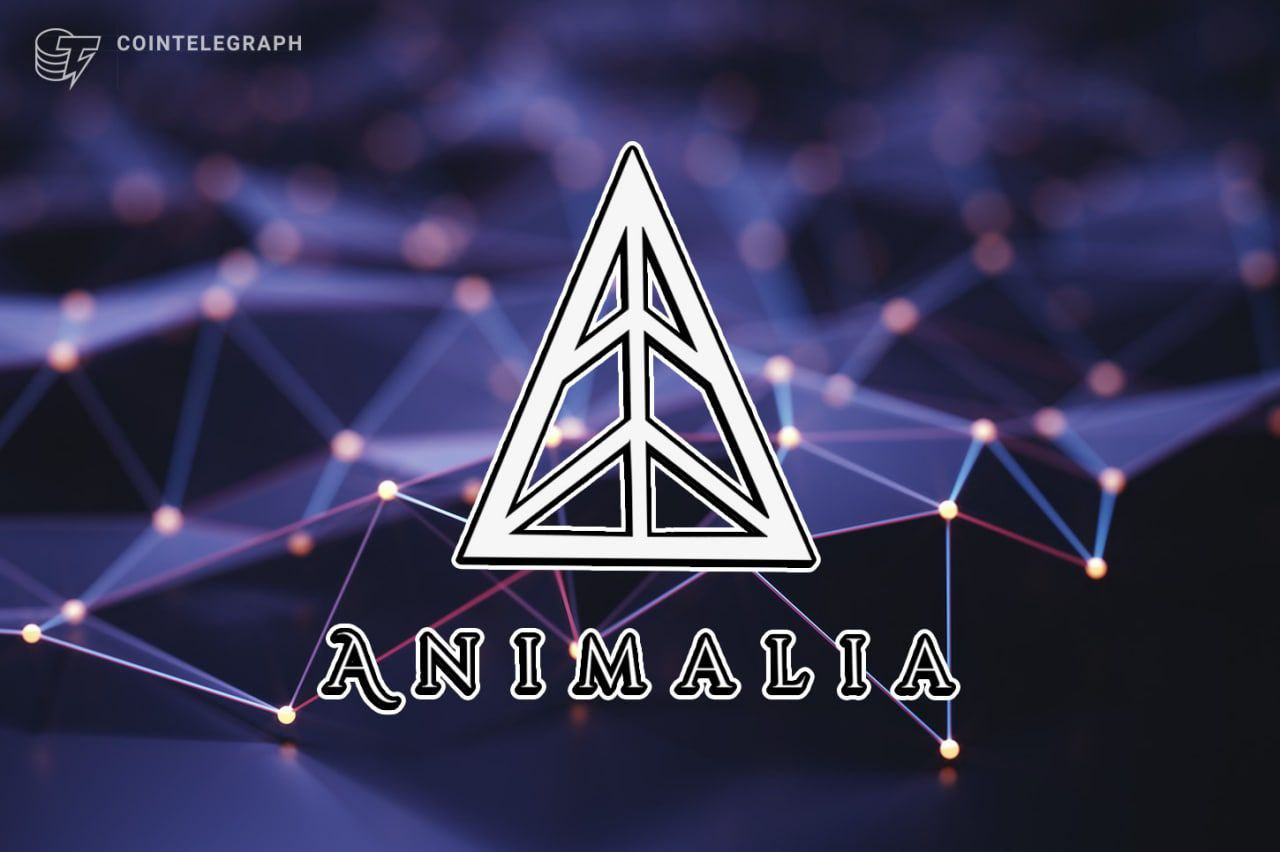 Animalia: The first meme-ified NFT card game