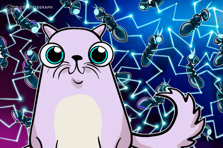 MIAU: Sucesso do Vira Lata Finance produz novo meme e criptomoeda ganha um companheiro, o Gatinho Finance