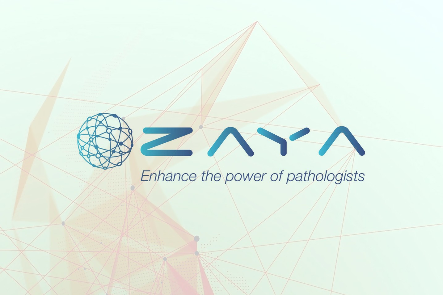 ZayaAI secures US$20 million investment commitment from Rollman Management Digital