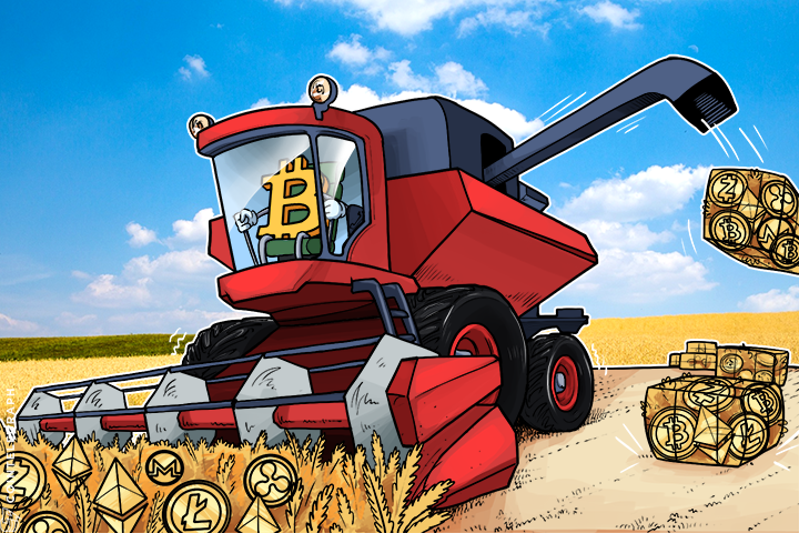 Altcoins Use Bitcoin Ecosystem to Leapfrog Forward, Grow Faster