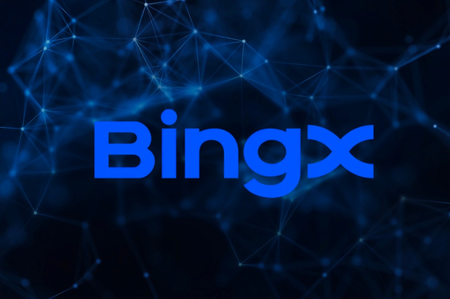 BingX Charity partners with Whale and Dolphin Conservation