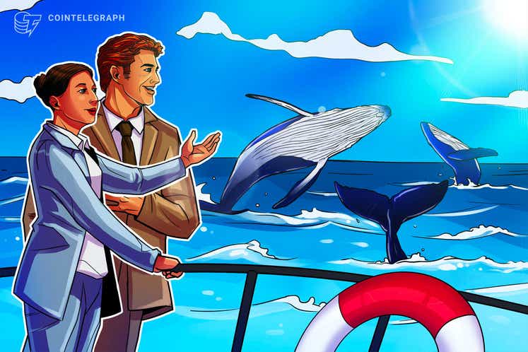 Baleias acumulam 442 bilhões de Shiba Inu e rival da Ethereum, mas liderança é de outra criptomoeda: US$ 1,67 bilhão