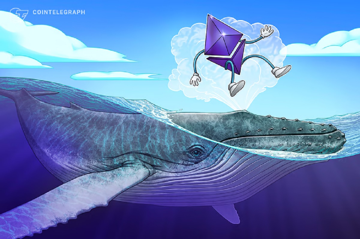 10 maiores baleias da Ethereum acumulam quase US$ 60 bilhões em autocustódia com recorde histórico após processos da SEC