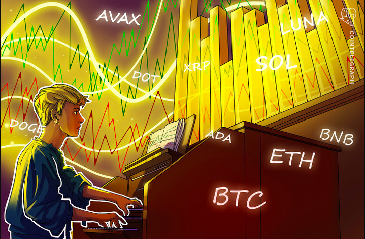Melhor oportunidade para investir: Analista indica 7 criptomoedas que apresentam boas condições de compra