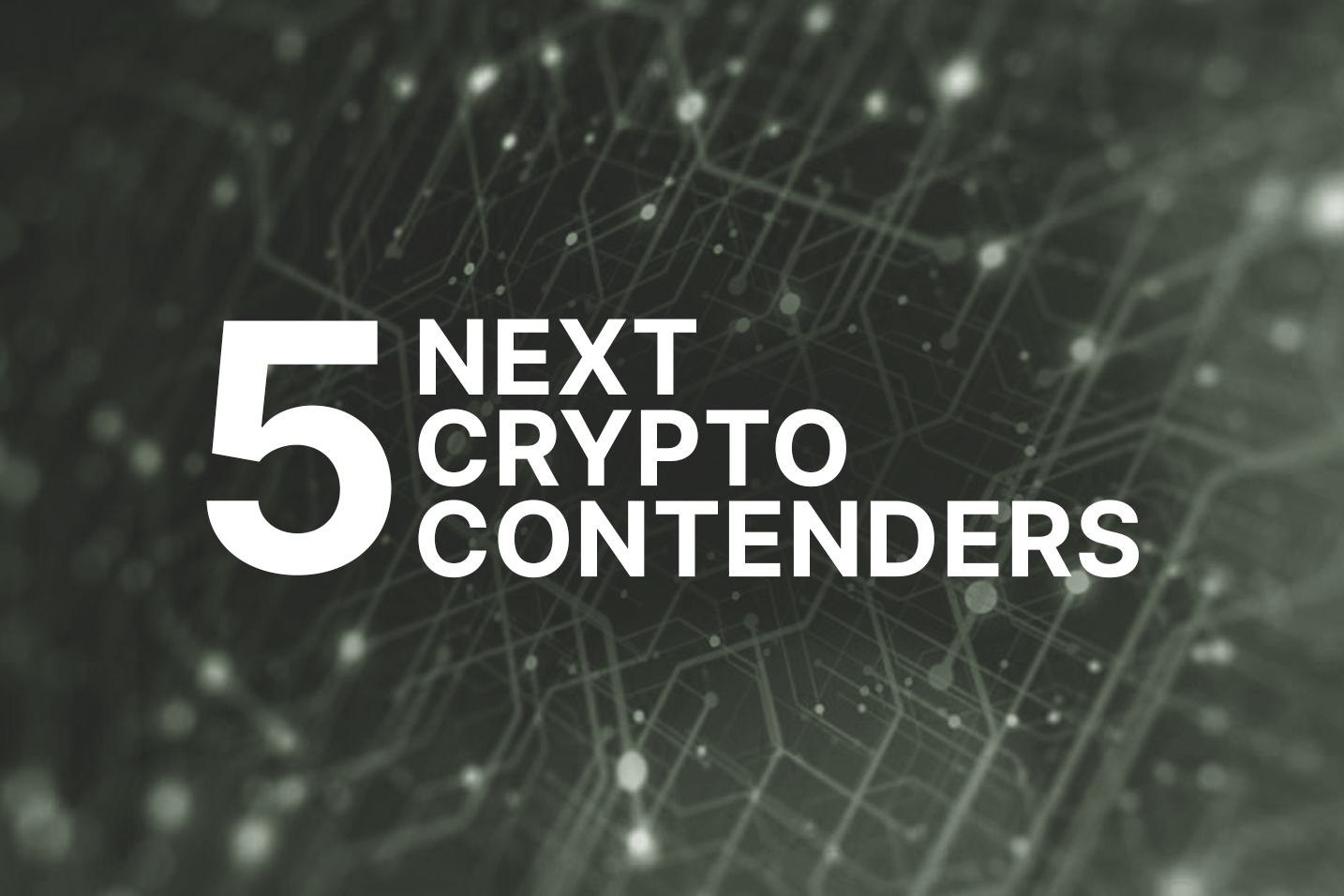 5 new crypto contenders with potential in 2024