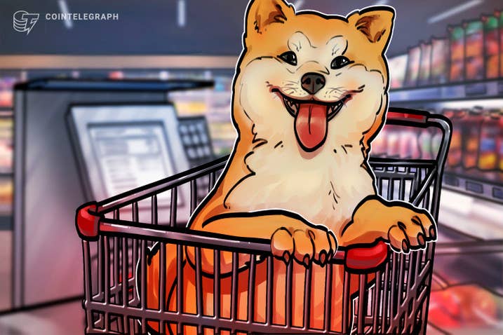 De novo: Elon Musk publica foto de cachorro, valor da SHIB dispara e um único investidor ganha R$ 415 Milhões em cinco dias