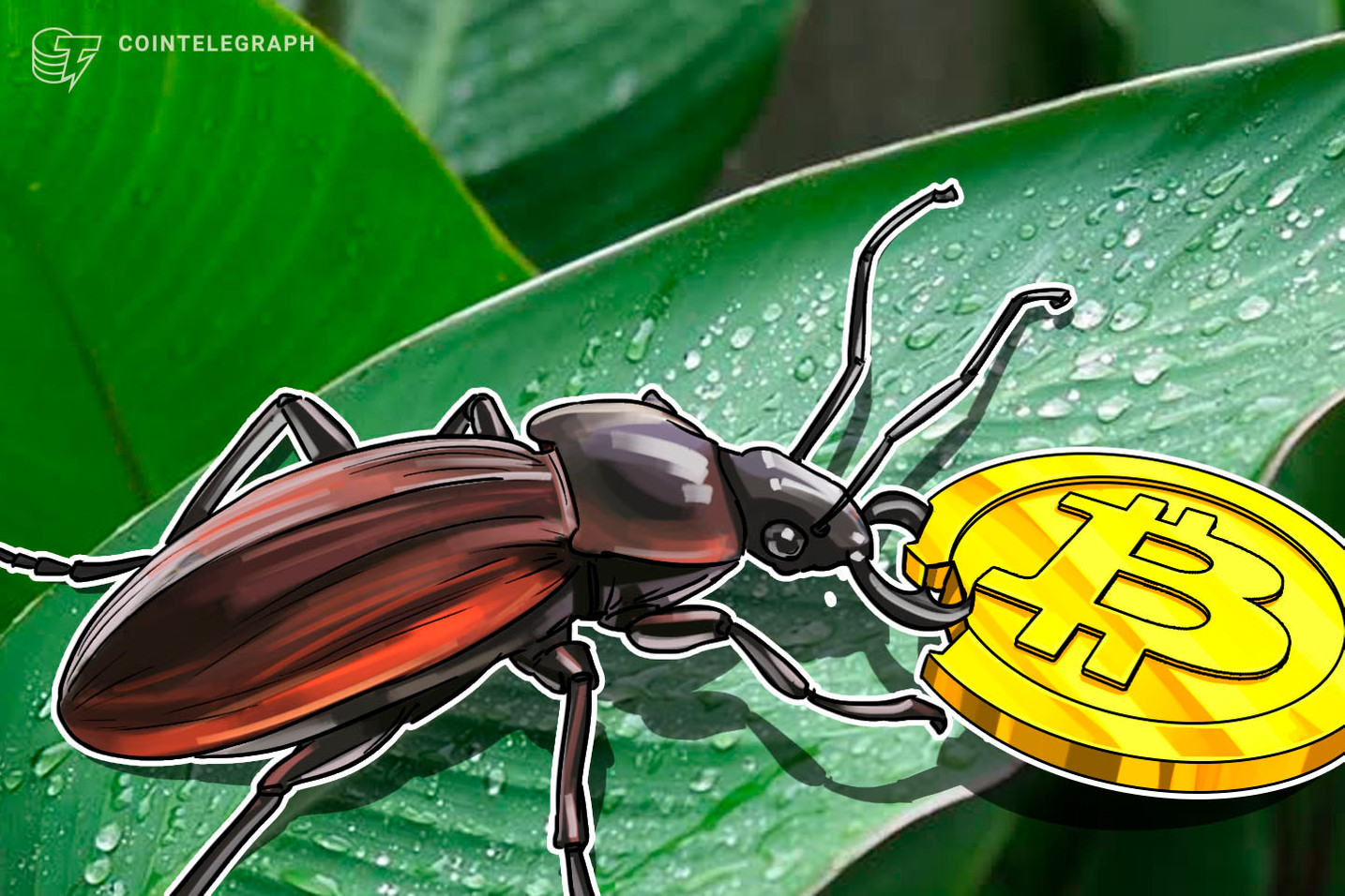 US$ 20 trilhões em Bitcoin sem pagar nada: conheça os bugs mais bizarros das exchanges de criptomoedas